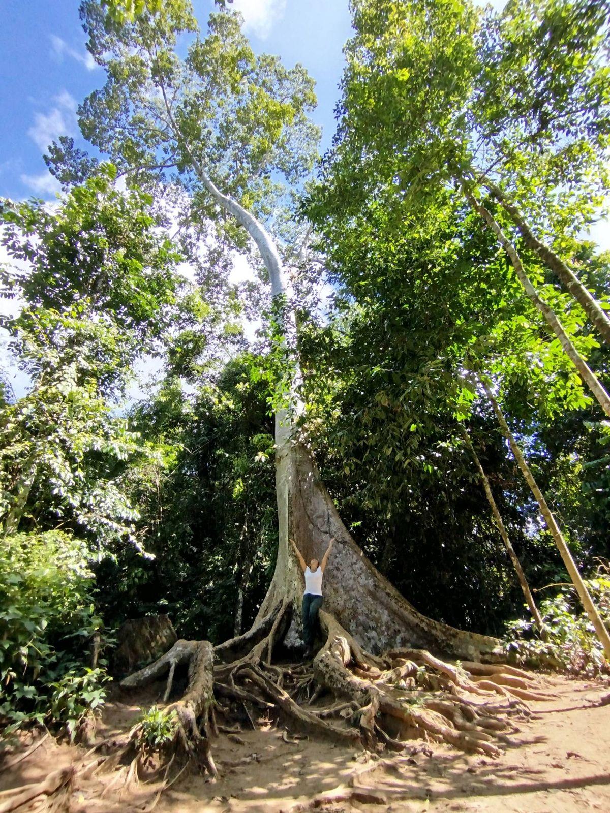 Begoña de las Llanderas embracing an ancient tree