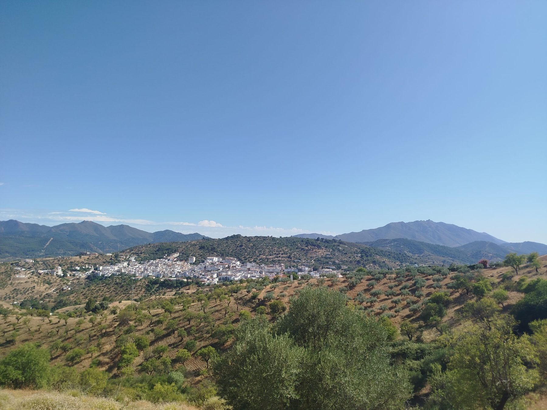 A white village among olive groves and mountains near Málaga